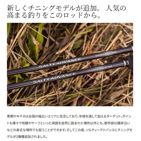 19 SALTY ADVANCE ジギング